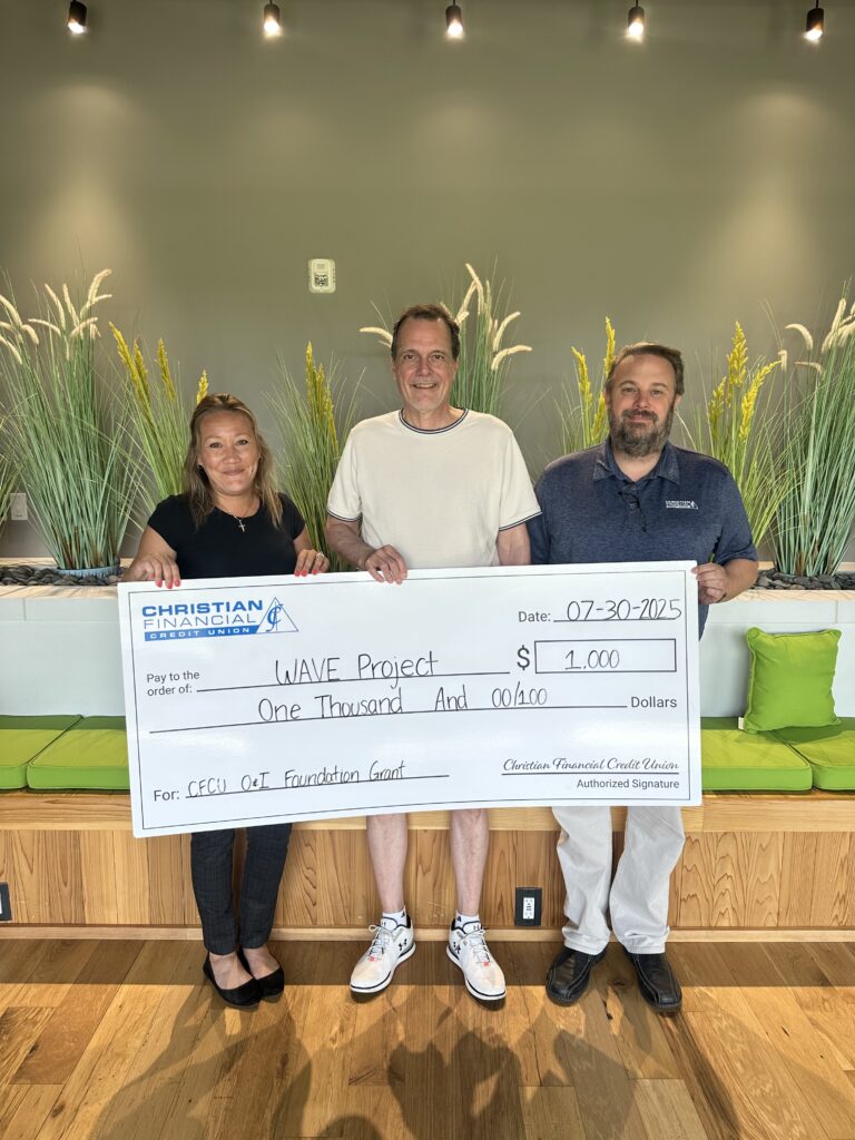 Check presentation to the WAVE Project